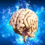 انواع ضایعه های مغزی کدامند؟