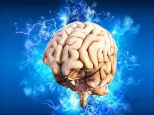 انواع ضایعه های مغزی کدامند؟